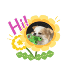 ひまぽぽ2（個別スタンプ：4）