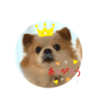 ひまぽぽ2（個別スタンプ：6）