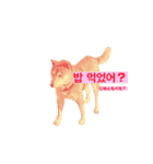 ROKU CHAN (DOG)（個別スタンプ：4）