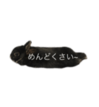 黒うさぎ 官兵衛（個別スタンプ：4）