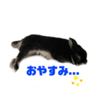 黒うさぎ 官兵衛（個別スタンプ：6）