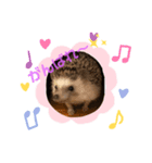 癒したち。（個別スタンプ：3）