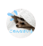 癒したち。（個別スタンプ：5）