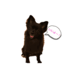 癒したち。（個別スタンプ：7）