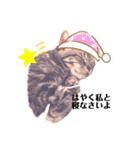 辛辣美猫☆ククちゃん（個別スタンプ：2）