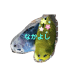 我が家のインコーズ（個別スタンプ：6）