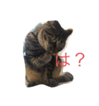 ふー日常（個別スタンプ：5）