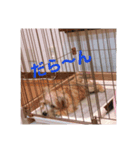 じゅじゅ①（個別スタンプ：3）