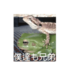 スタートライフ（個別スタンプ：6）