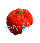 スタプン3（個別スタンプ：1）