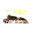 スタプン3（個別スタンプ：7）