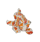 和 モチーフ 金魚づくし  3（個別スタンプ：5）