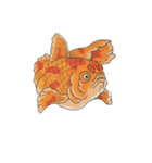 和 モチーフ 金魚づくし  3（個別スタンプ：6）