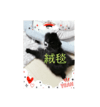 熊じゃありません（個別スタンプ：4）