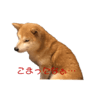 Chappy.U（個別スタンプ：8）