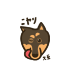 黒柴（柴犬）！大豆くんスタンプ（個別スタンプ：7）