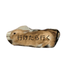 COCO183453（個別スタンプ：2）