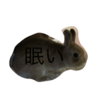 COCO183453（個別スタンプ：3）