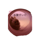 COCO183453（個別スタンプ：5）