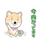 柴犬マルの日常（個別スタンプ：7）