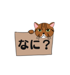 箱入り猫のレオちゃん（個別スタンプ：1）
