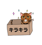 箱入り猫のレオちゃん（個別スタンプ：2）