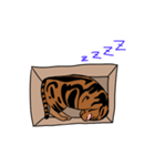 箱入り猫のレオちゃん（個別スタンプ：3）