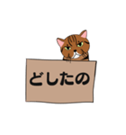 箱入り猫のレオちゃん（個別スタンプ：5）