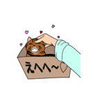 箱入り猫のレオちゃん（個別スタンプ：7）