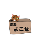 箱入り猫のレオちゃん（個別スタンプ：8）