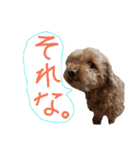 おしゃべりわんちゃん（個別スタンプ：8）