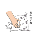 フグ猫の「にゃこねん」助け合い言葉（個別スタンプ：2）