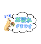 *うさぎのうさちゃん*文字はっきりSet♪（個別スタンプ：2）