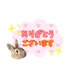 *うさぎのうさちゃん*文字はっきりSet♪（個別スタンプ：7）