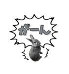 *うさぎのうさちゃん*文字はっきりSet♪（個別スタンプ：8）