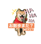 かわいすぎるとろろ（個別スタンプ：1）