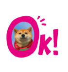 かわいすぎるとろろ（個別スタンプ：3）
