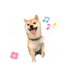 かわいすぎるとろろ（個別スタンプ：5）