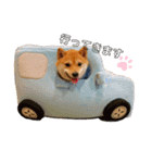かわいすぎるとろろ（個別スタンプ：8）