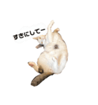 気まま猫、雪の気ままなスタンプ（個別スタンプ：1）