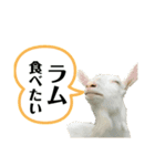 モカ達（個別スタンプ：3）