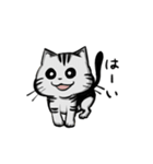 ねこの兄妹（個別スタンプ：1）