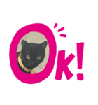 ひじき version1（個別スタンプ：1）