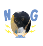ひじき version1（個別スタンプ：3）