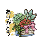 かわいい多肉植物2（個別スタンプ：1）