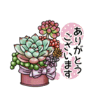 かわいい多肉植物2（個別スタンプ：2）