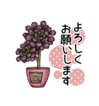 かわいい多肉植物2（個別スタンプ：7）