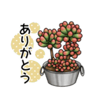 かわいい多肉植物2（個別スタンプ：8）