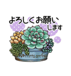 かわいい多肉植物2（個別スタンプ：12）