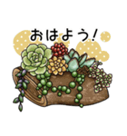 かわいい多肉植物2（個別スタンプ：14）